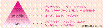 Macintosh HD:Users:ToshiSato:Public:Drop Box:mGq?A:GNZ:I[g?g:̃C[V?.png