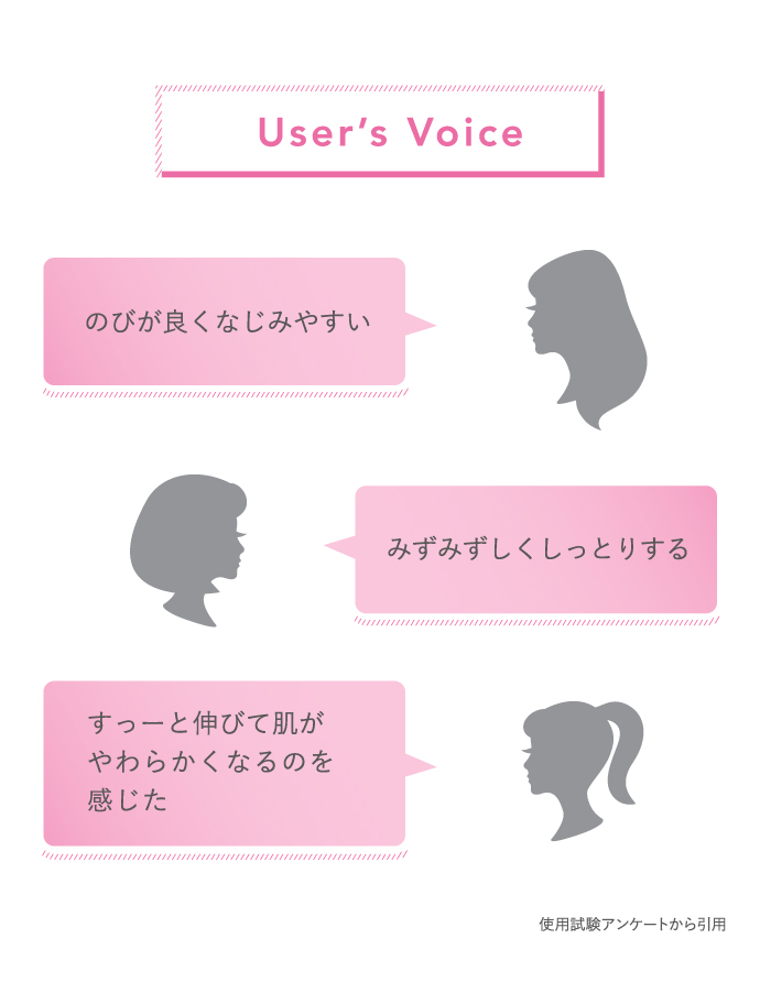 Userfs Voice