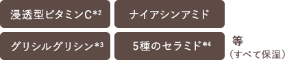浸透型ビタミンC*2 ナイアシンアミド ナイアシンアミド ナイアシンアミド等(すべて保湿)