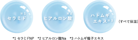 �Z���~�h �q�A�������_ �n�g���M�G�L�X*3