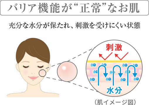 乾燥肌・敏感肌・低刺激性スキンケアのウォッシングクリーム(洗顔 