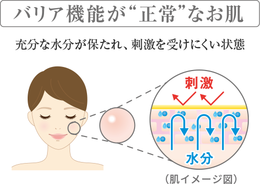 乾燥肌・敏感肌・低刺激性スキンケアのバリアクリーム ＵＶ(皮膚保護 ...