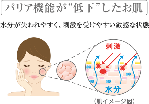 乾燥肌・敏感肌・低刺激性スキンケアのミルキィローション(乳液)｜NOV