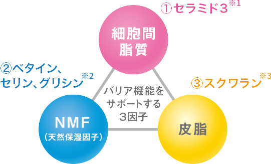 乾燥肌・敏感肌の低刺激性スキンケアのフェイスローション(化粧水) ＥＸ（白濁とろみ）｜NOV