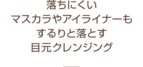エクセル クイックリムーバー ｎ