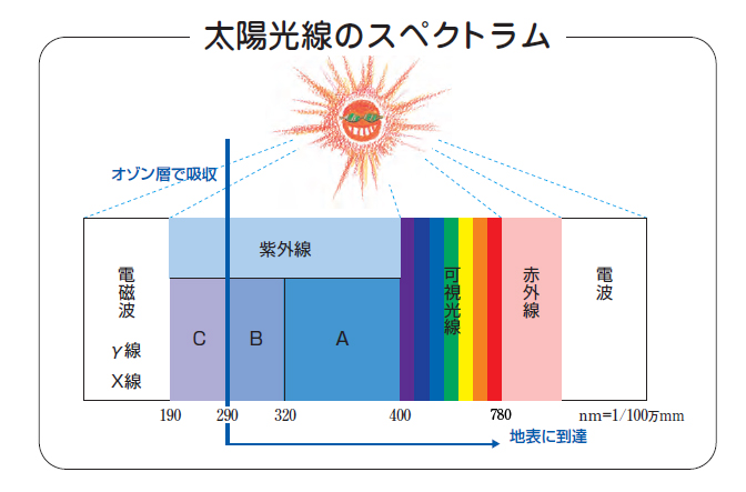 太陽光線のスペクトム