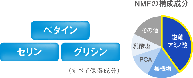 ノブ / III フェイスローション Rの公式商品情報｜美容・化粧品