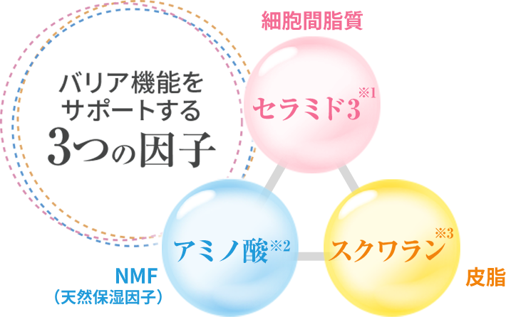 敏感肌・乾燥肌用スキンケアのノブ Ⅲシリーズ | ノブ公式オンラインショップ