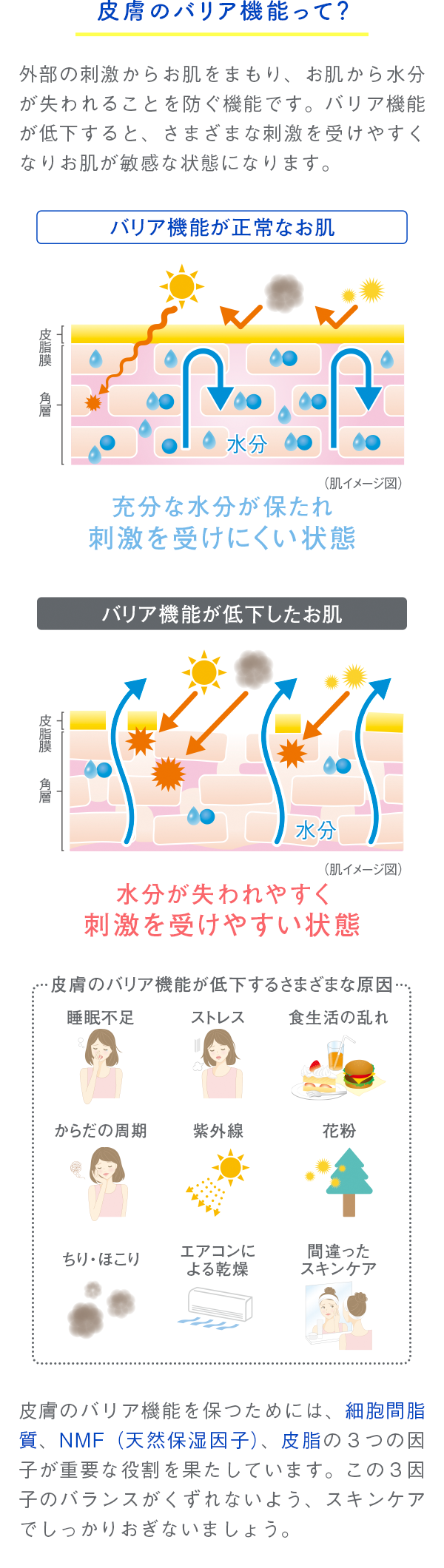 ノブⅢシリーズのじっくり使える1週間分のトライアルセット｜NOV