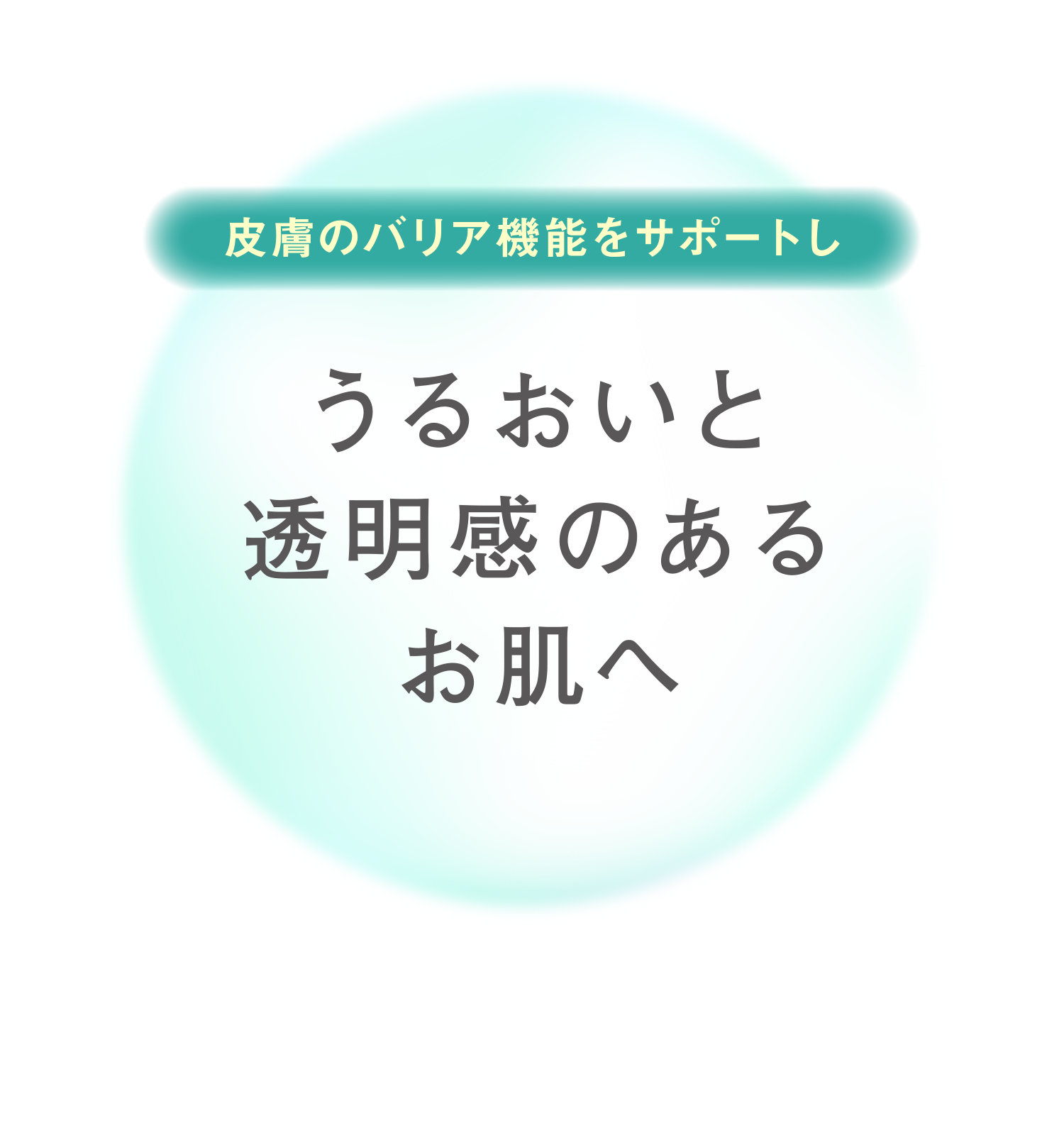 �畆�̃o���A�@�\���T�|�[�g�����邨���Ɠ������̂��邨����