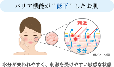 バリア機能が低下したお肌は、水分が失われやすく、刺激を受けやすい敏感な状態になっていることを示す肌イメージ図。