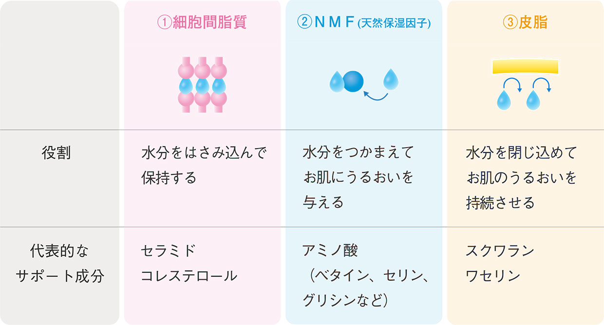 セラミドの肌へのメリット