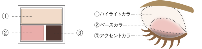 顔のスキンケア スキンケア製品の使用方法 ベースメイク ポイントメイク ノブ公式ブランドサイト