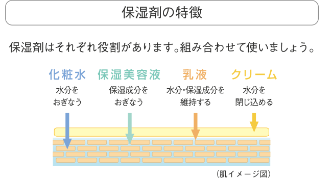 顔のスキンケア＞ スキンケア製品の使用方法 -化粧水、保湿ジェル