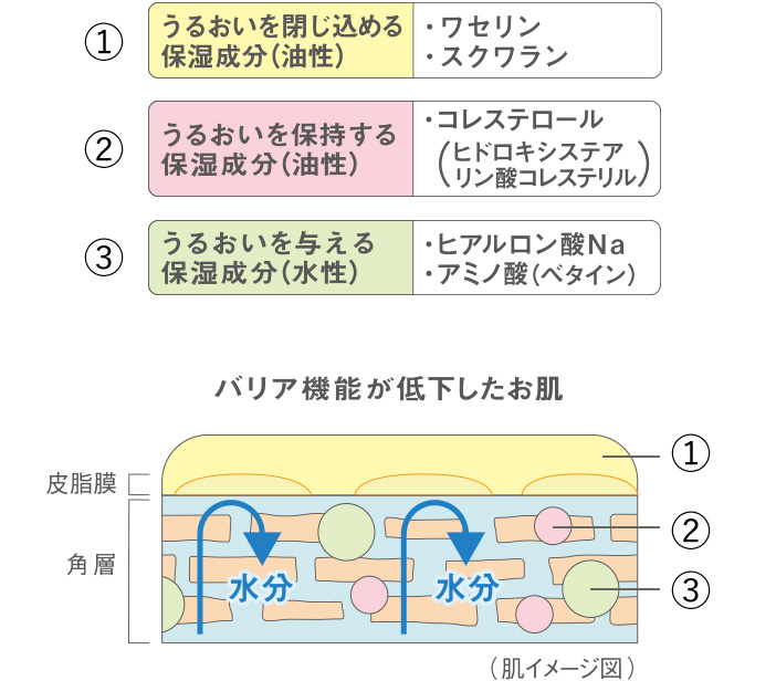 乾燥や肌あれでお悩みの方に 全身用保湿剤 ノブ公式ブランドサイト