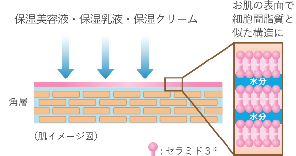 試してみた】NOV Ⅲ モイスチュアクリームの効果・肌質別の