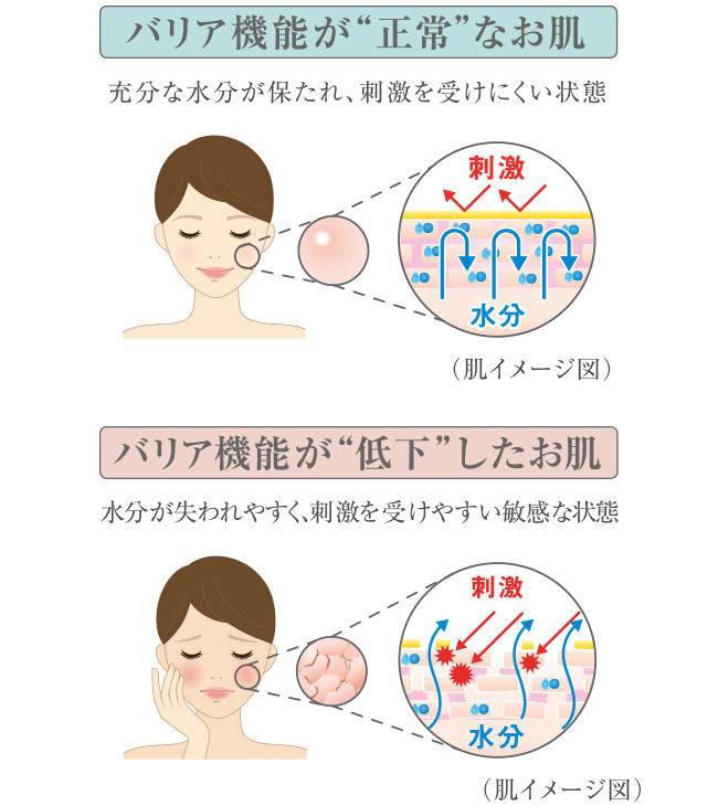 ご存知でしたか お肌のエイジングサインの８割は紫外線が原因 敏感肌 乾燥肌に必要なエイジングケアとは ノブ公式ブランドサイト