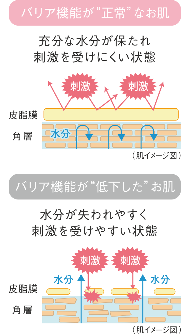 敏感肌 乾燥肌のクリーム ノブ公式ブランドサイト