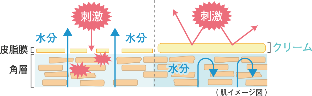 クリーム を使うのは冬だけ 敏感肌 乾燥肌 の保湿アイテムとして クリーム が大切な理由とは おすすめの選び方や使い方のポイントをご紹介します ノブ公式ブランドサイト