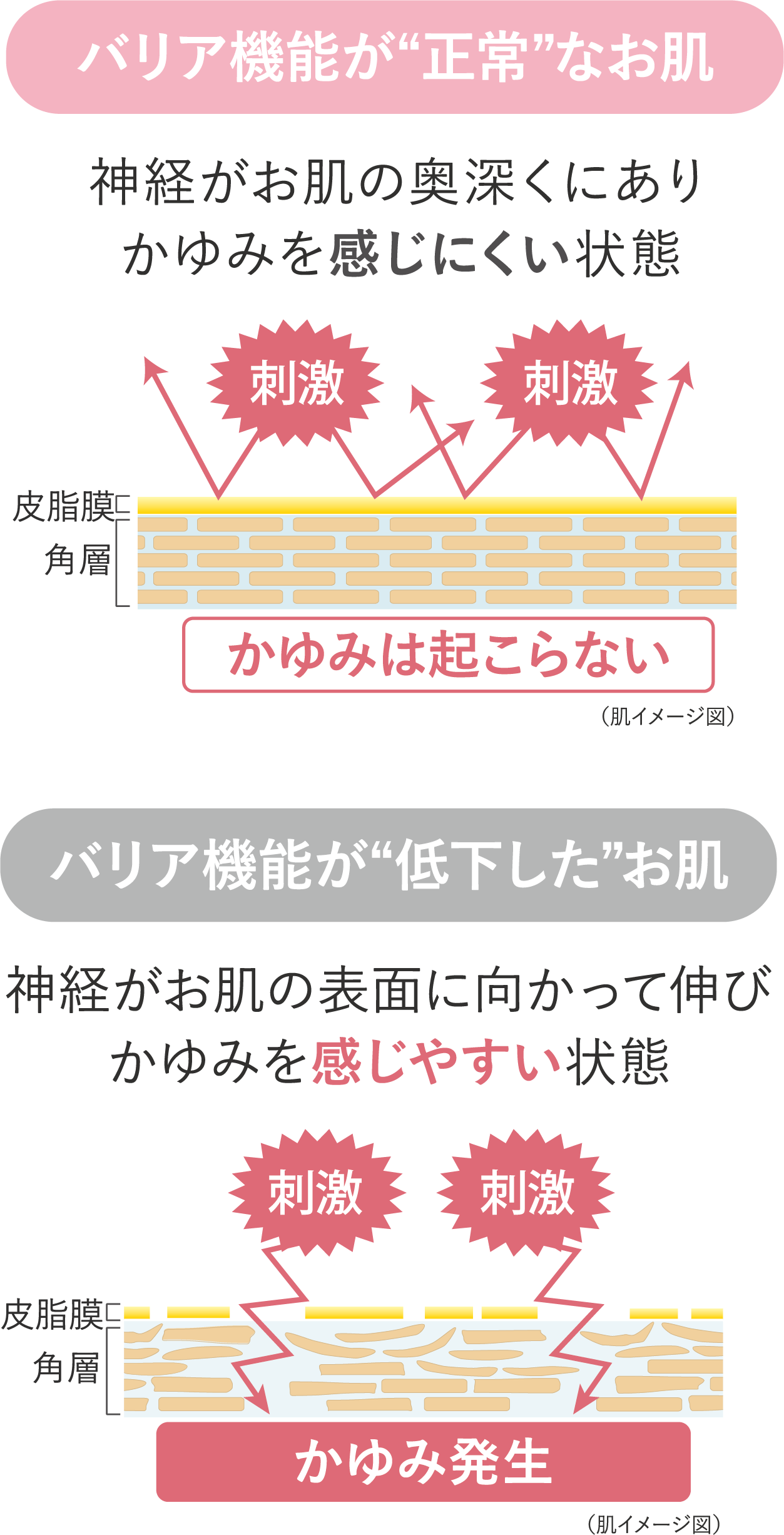 敏感肌 乾燥肌のボディケア 保湿クリーム ノブ公式ブランドサイト