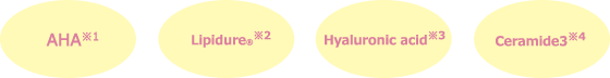 AHA※1 | Lipidure®※2 | Hyaluronic acid※3 | Ceramide3※4