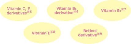 Vitamin C, E derivatives※5 | Vitamin B6 derivative※6 | Vitamin B2※7 | Vitamin E※8 | Retinol derivative※9