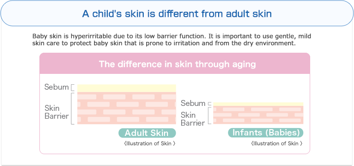 A child's skin is different from adult skin | Baby skin is hyperirritable due to its low barrier function. It is important to use gentle, mild skin care to protect baby skin that is prone to irritation and from the dry environment. | The difference in skin through aging