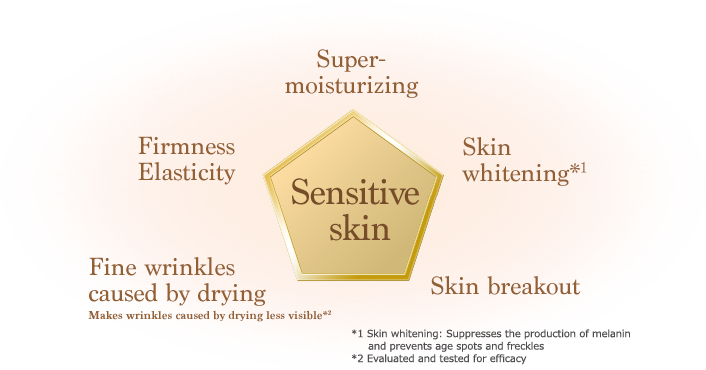 Super-moisturizing Firmness Elasticity Fine wrinkles caused by drying Makes wrinkles caused by drying less visible* Skin breakout Skin whitening* Sensitive skin * Skin whitening: Suppresses the production of melanin and prevents age spots and freckles