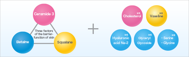 Three factors of the barrier function of skin | Ceramide 3 | Betaine | Squalane | Cholesterol※5 | Vaseline※6 | Hyaluronic acid Na-2※6 | Glyceryl Glycoside※6 | ・Serine | ・Glycine