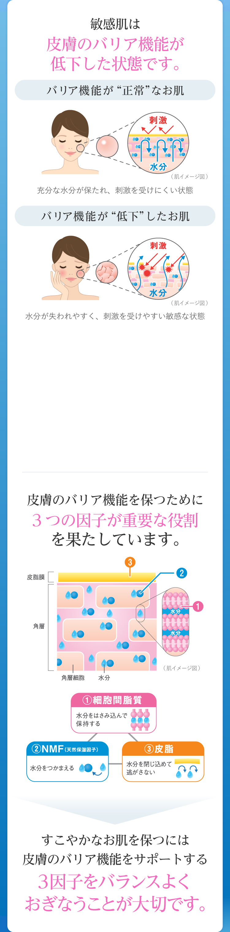 ノブ Ⅲ フェイスローション EX ｜ノブ公式オンラインショップ
